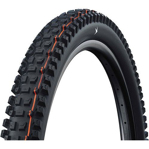 Schwalbe ALBERT GRAVITY PRO SOFT Radial E-50 29" Tubeless Ready noir