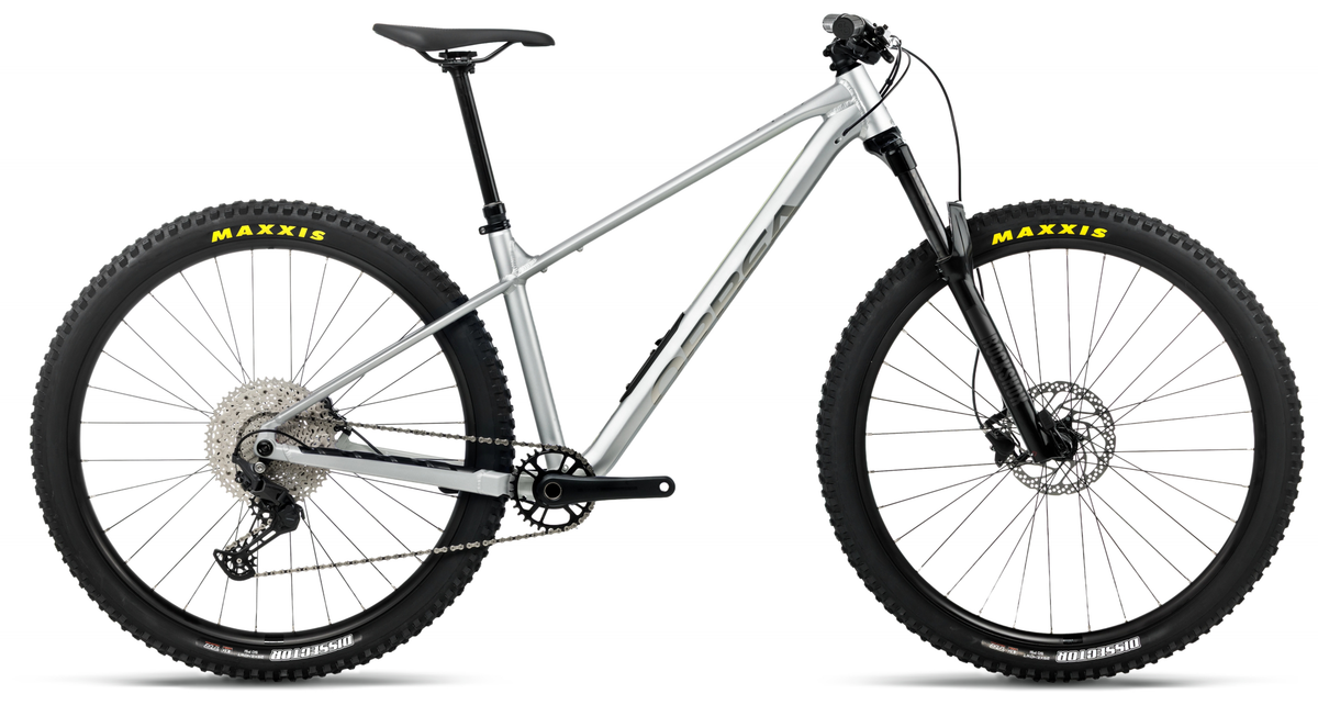 Orbea LAUFEY H30 Smooth Silver (Mat) - Titane (Brillant)