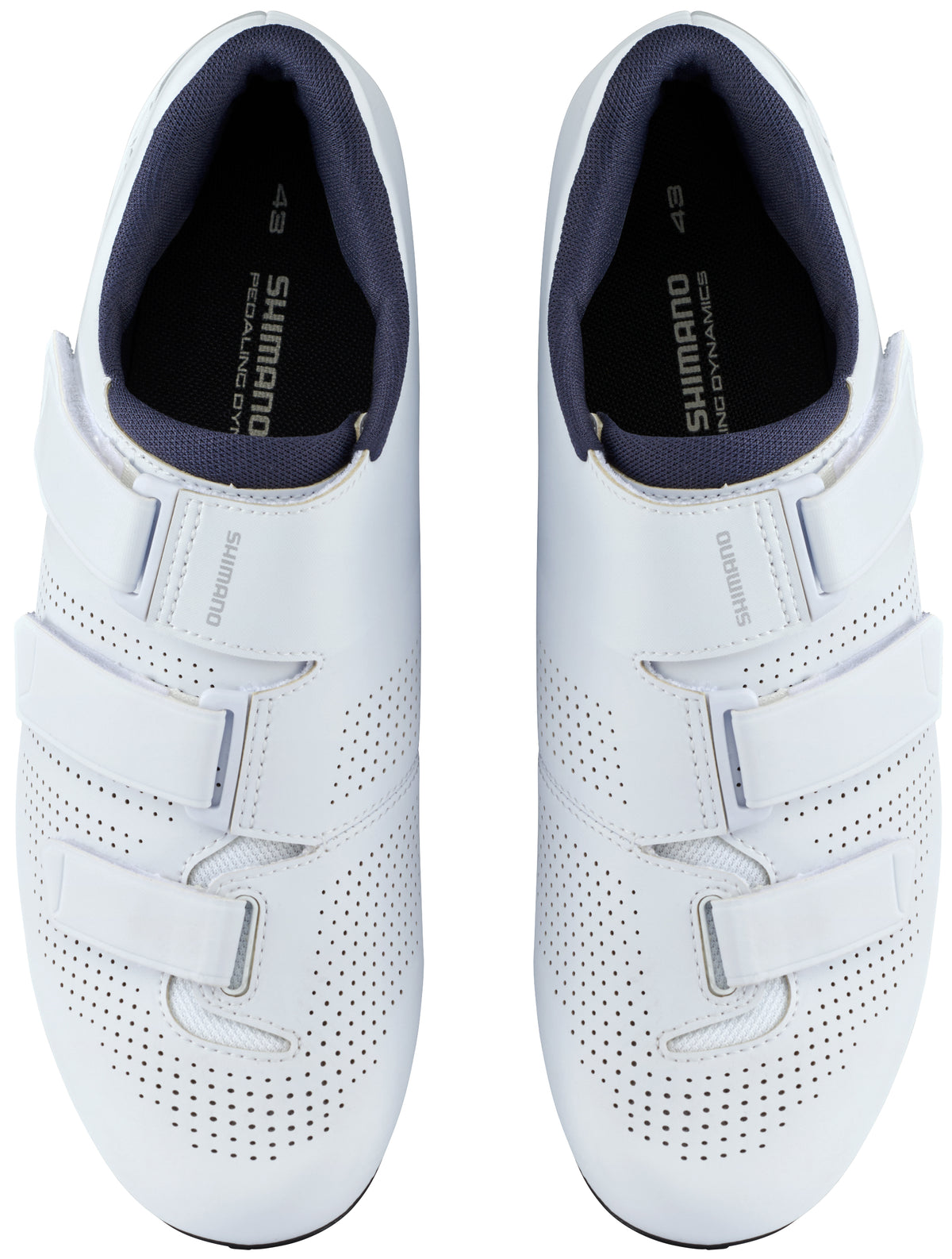Shimano RC102 Chaussures de course Blanc
