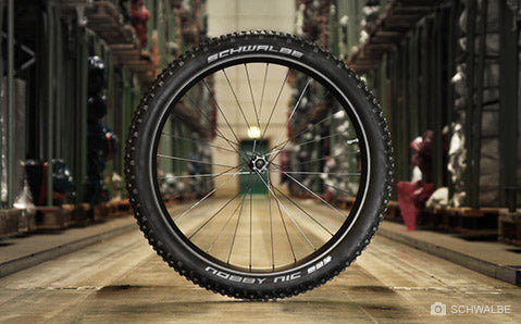 Schwalbe - Kategorie-Header