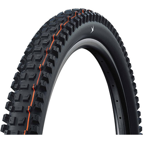 Schwalbe ALBERT TRAIL PRO SOFT Radial E-50 29" Tubeless Ready noir