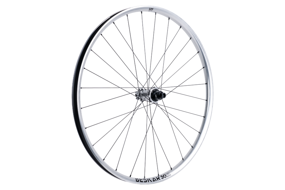 Newmen Wheel Beskar 30 strong 29" 28h FADE SP 6B 12x148 XD argent LTD