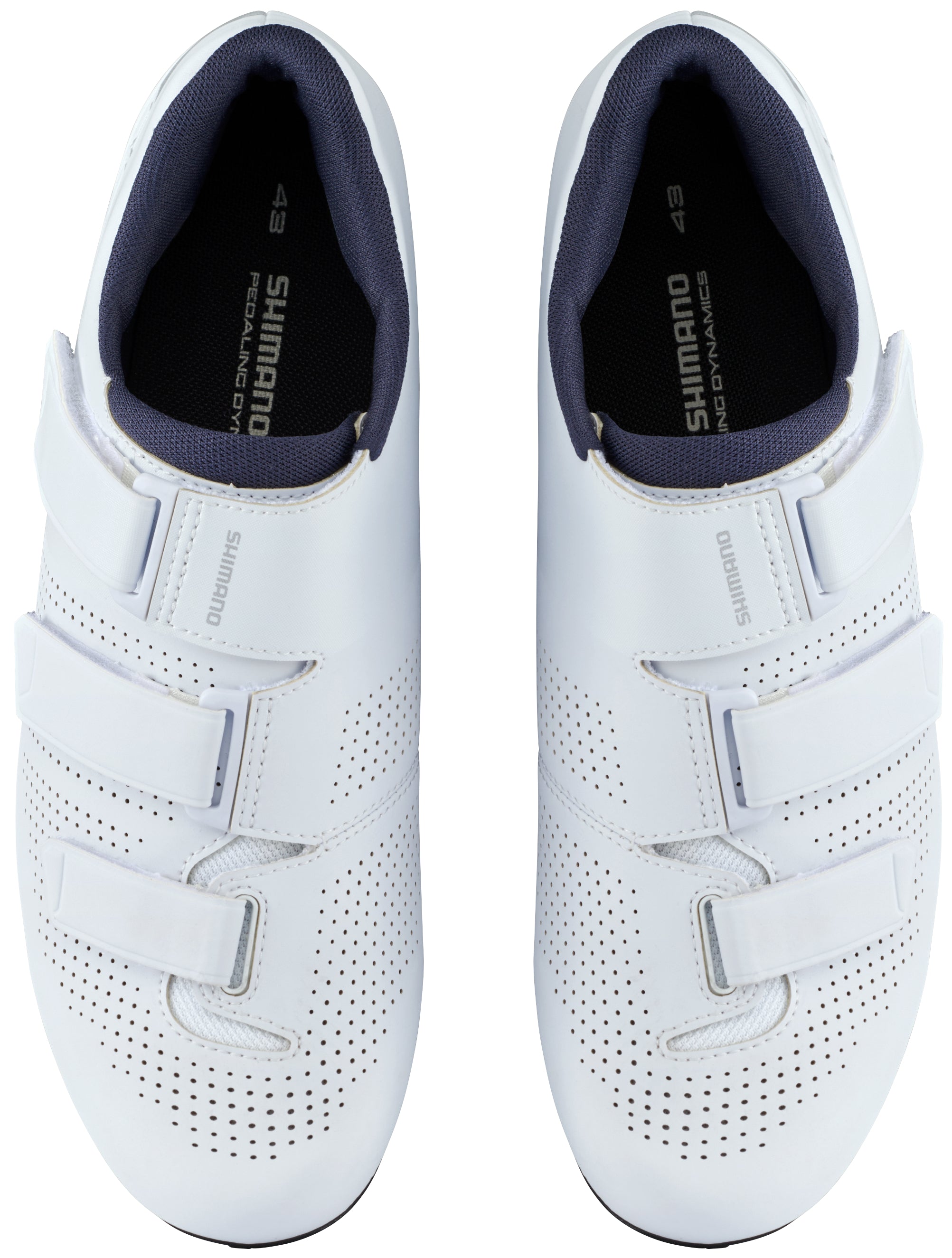 Shimano RC102 Chaussures de course Blanc