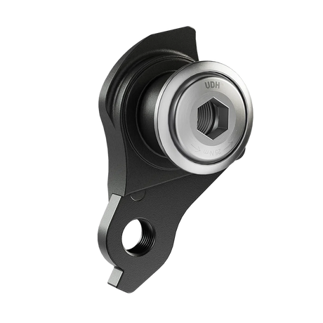 SRAM Patte de dérailleur universelle UDH argent