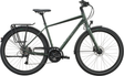 Scott Vitess 25 diamant vert kelp